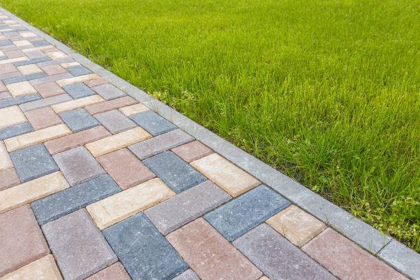 Best Driveway Pavers Near Me  in University Place, WA